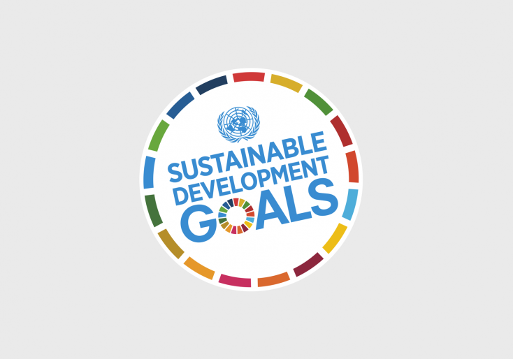Integrating the UN Sustainable Development Goals